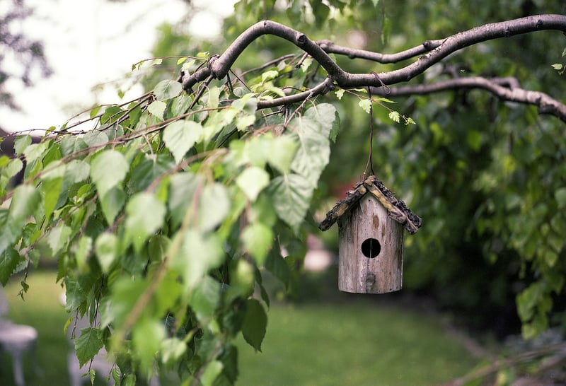 DIY Bird Feeder